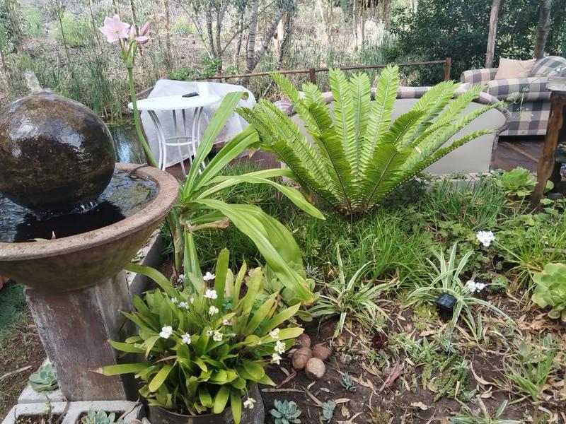 2 Bedroom Property for Sale in Stilbaai East Western Cape